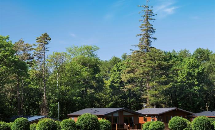 Lodge holidays in North Wales